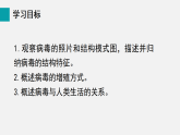 2.3.4 病毒(课件)2025-2026学年人教版七年级生物上册0