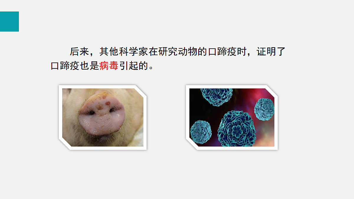 17255402第6页