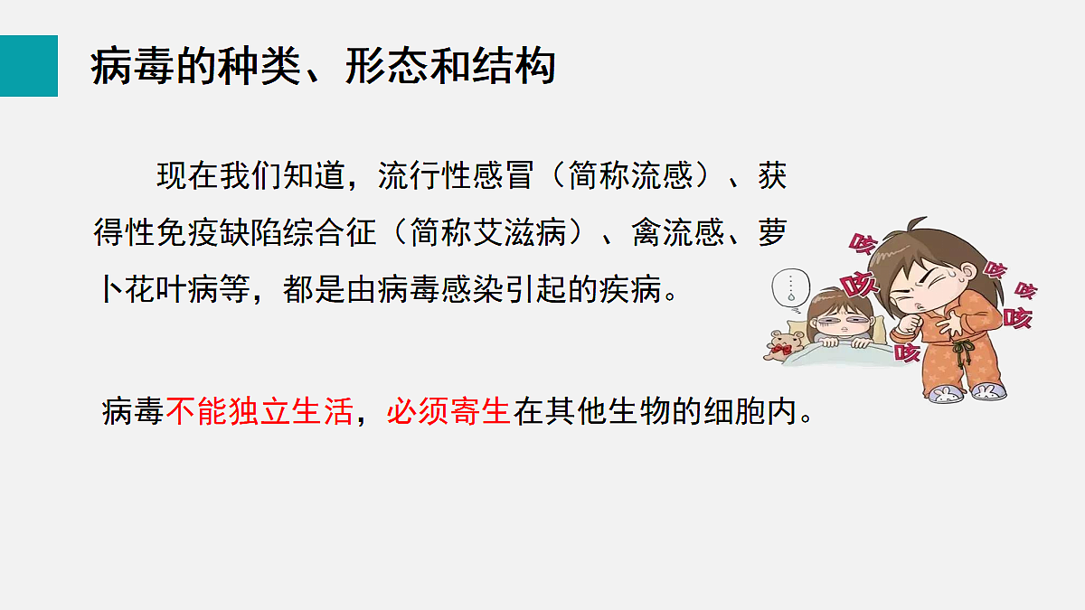 17255402第8页
