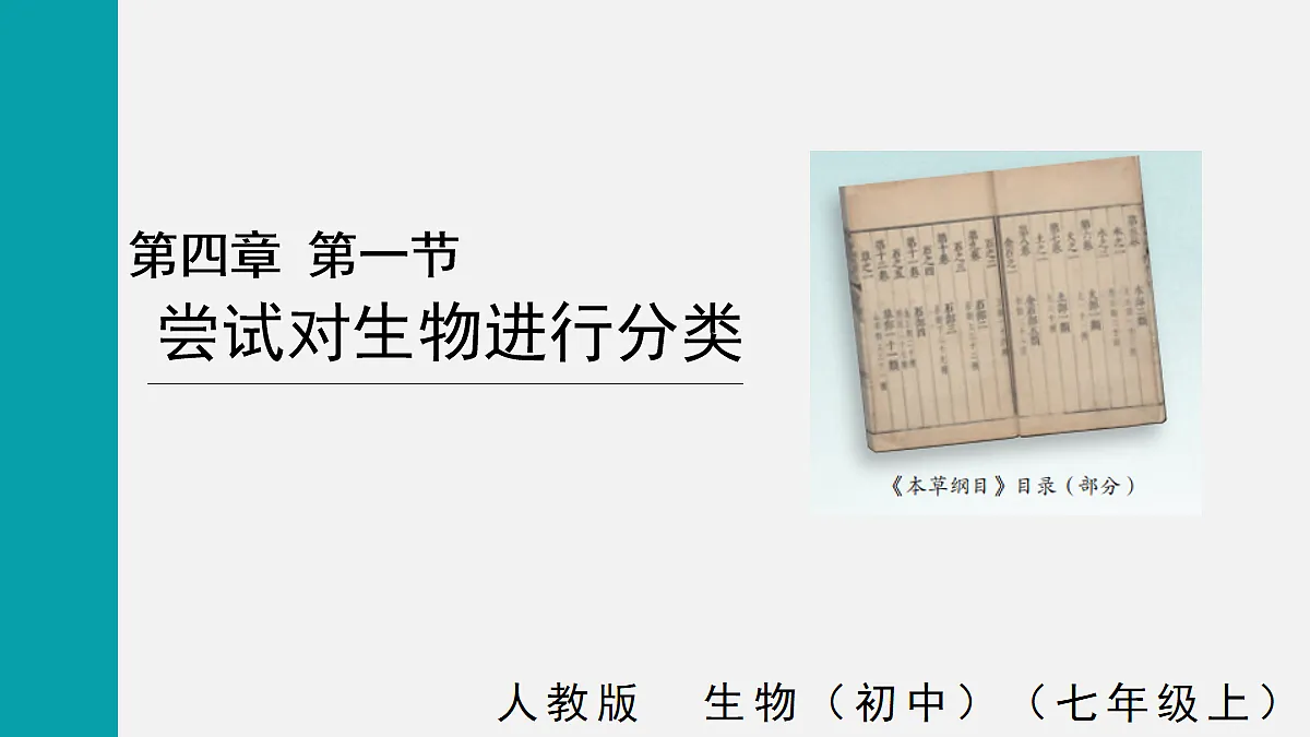 17255403第1页