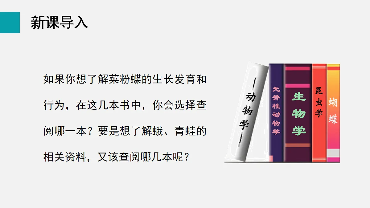 17255403第3页