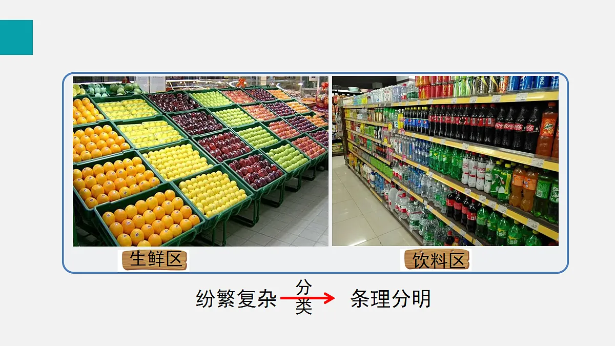 17255403第4页