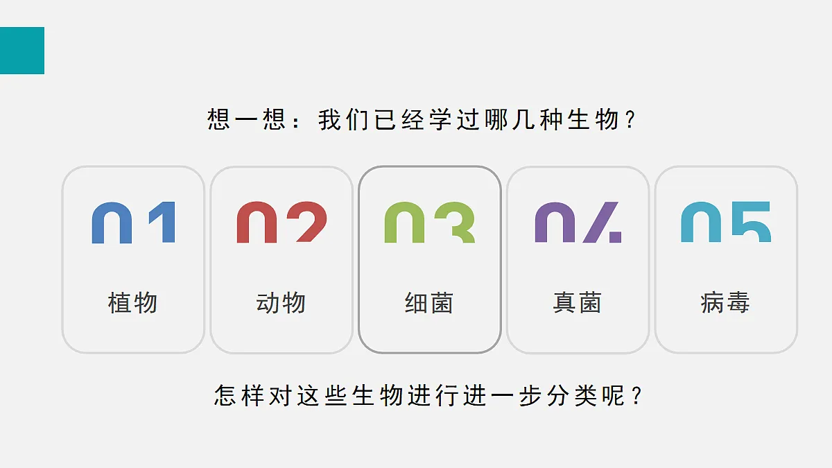 17255403第5页