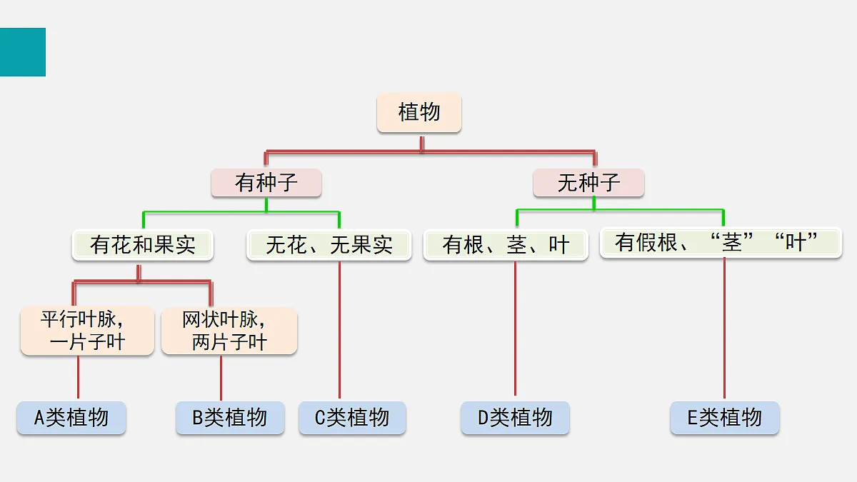 17255403第7页