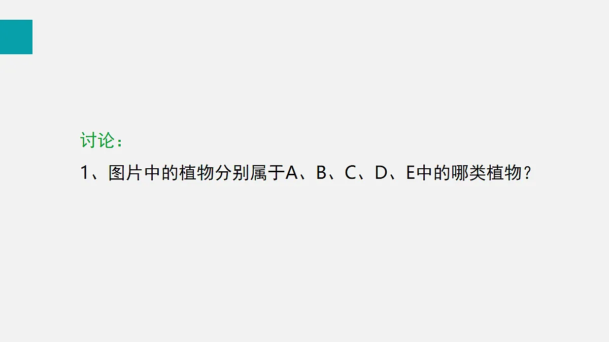 17255403第8页