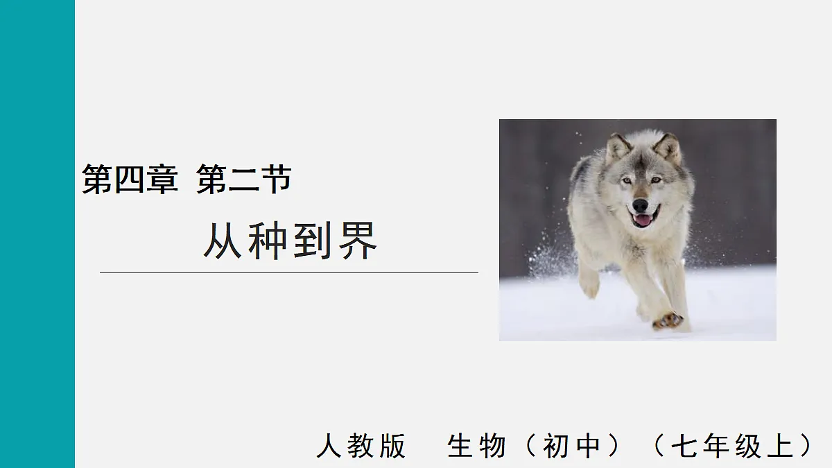 17255404第1页