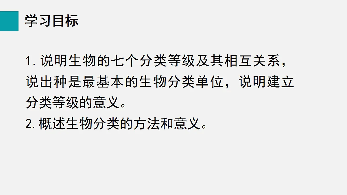 17255404第2页