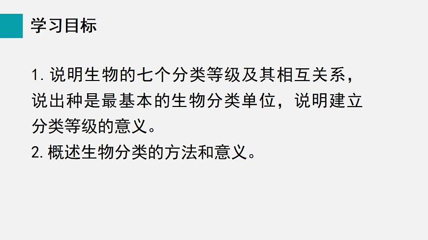 17255404第2页