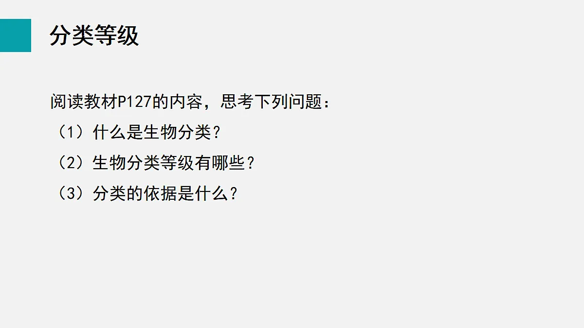17255404第4页