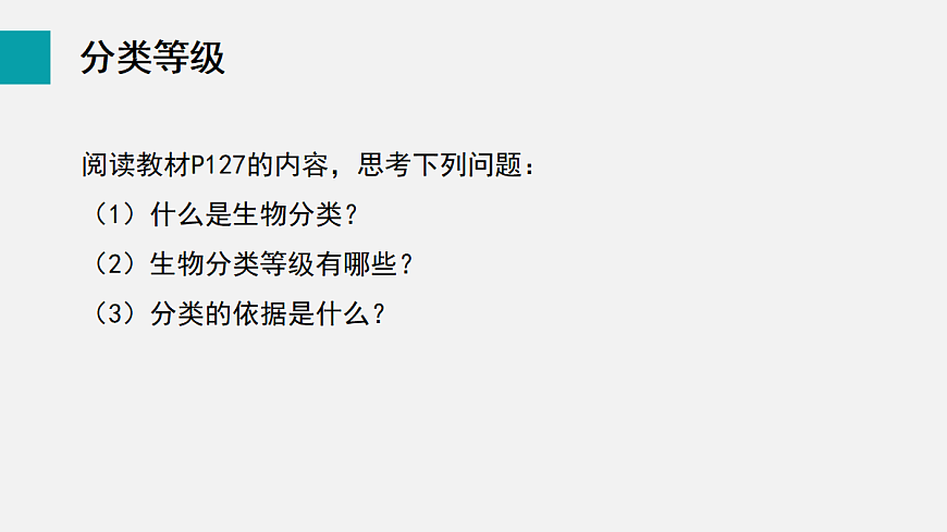 17255404第4页