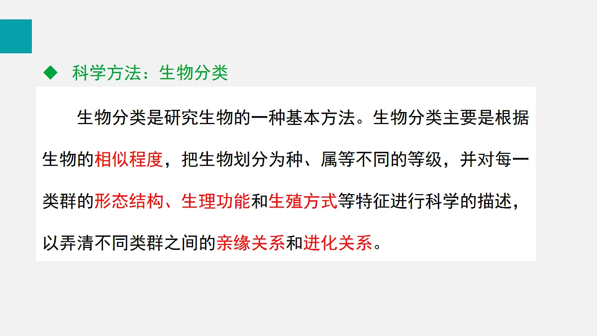 17255404第5页