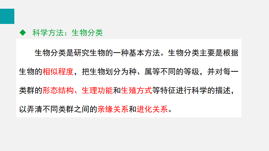 17255404第5页