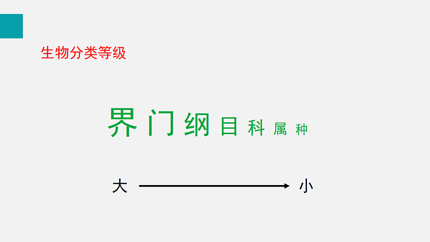 17255404第6页