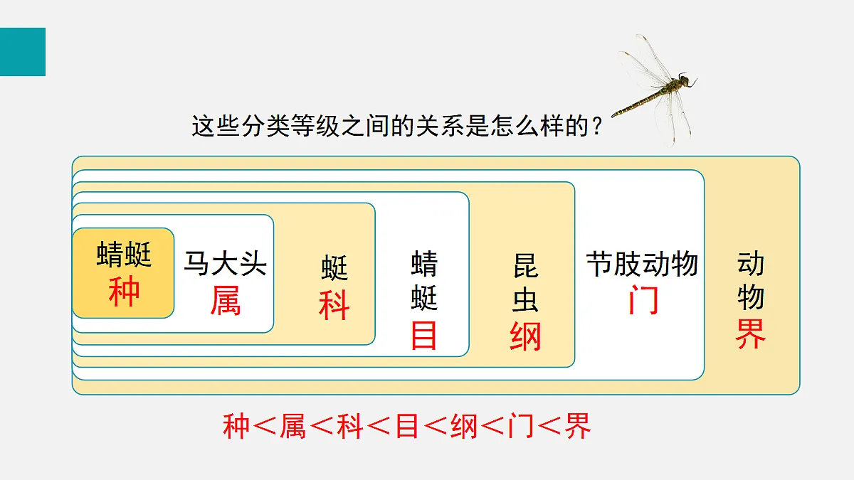 17255404第7页