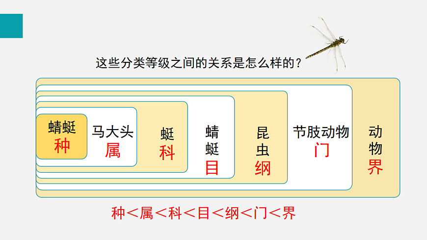 17255404第7页
