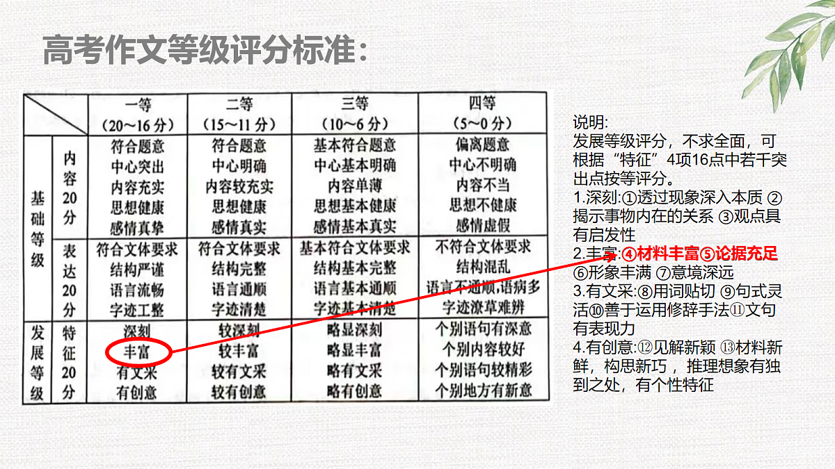 17255444第3页