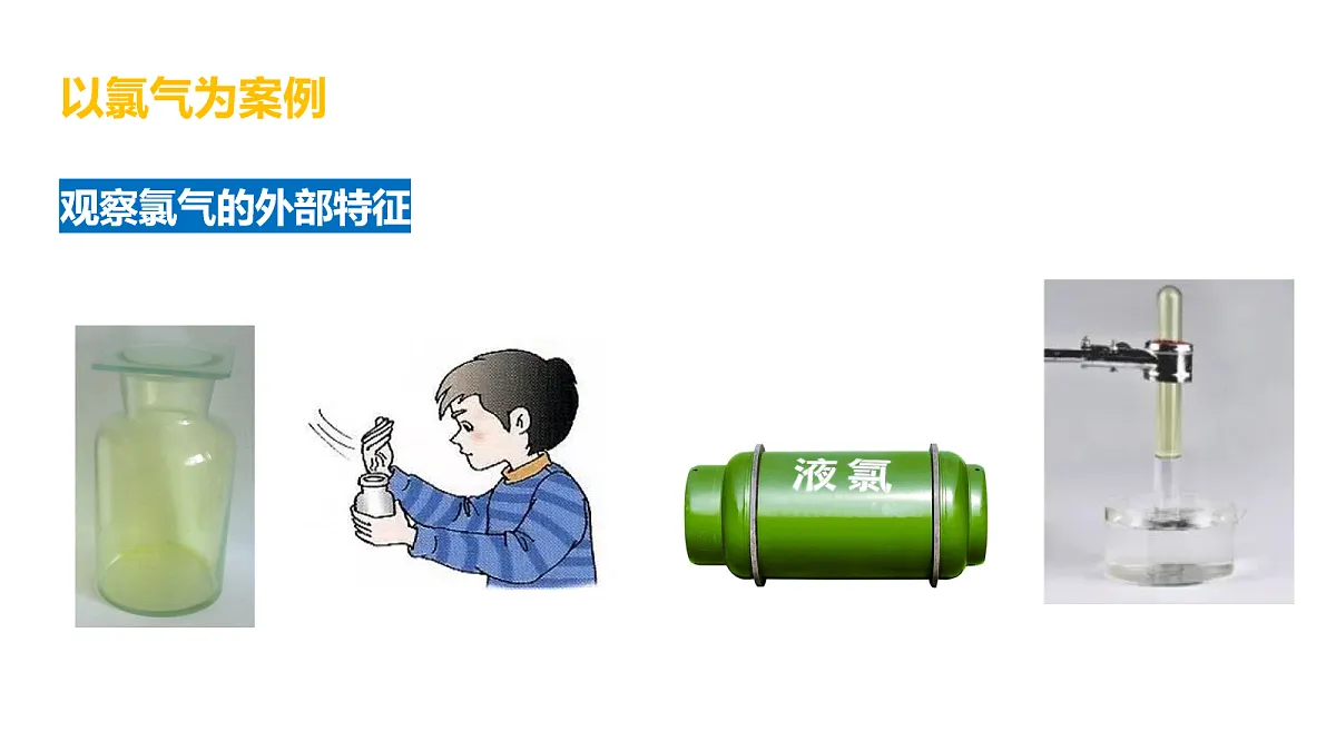17255662第3页