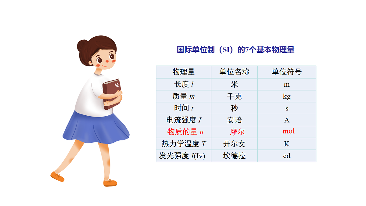 17255663第5页