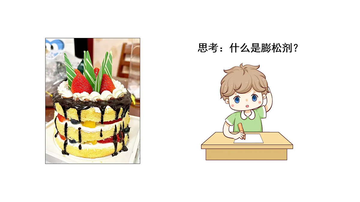 17255666第4页