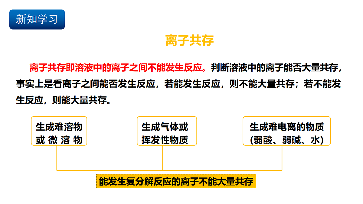 17255673第2页