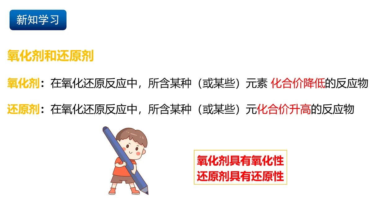17255675第3页