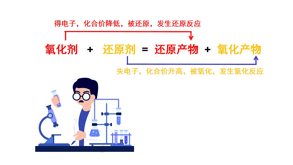 17255675第5页