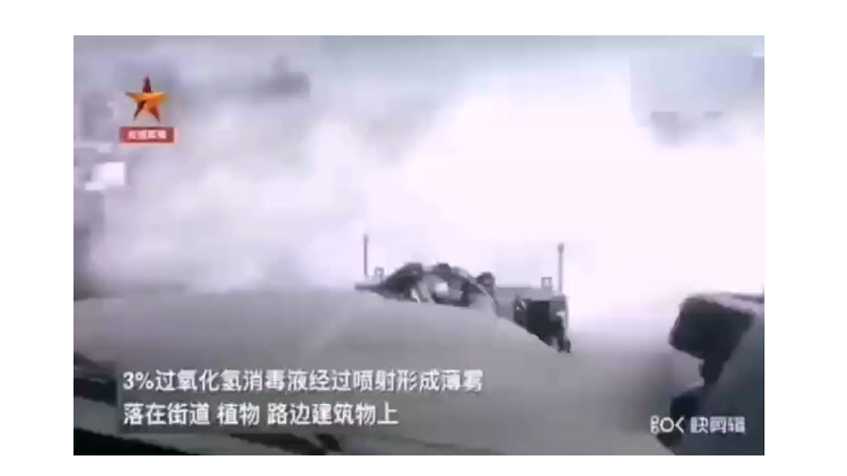 17255676第2页