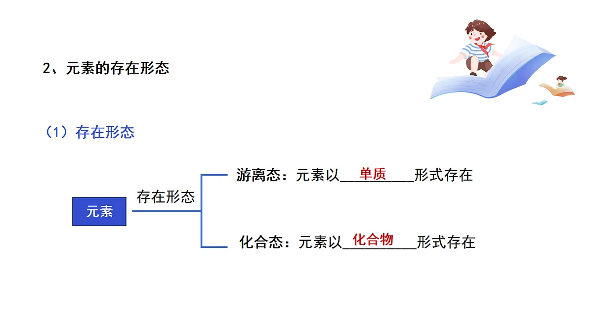17255678第8页