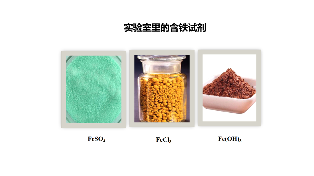 17255679第5页