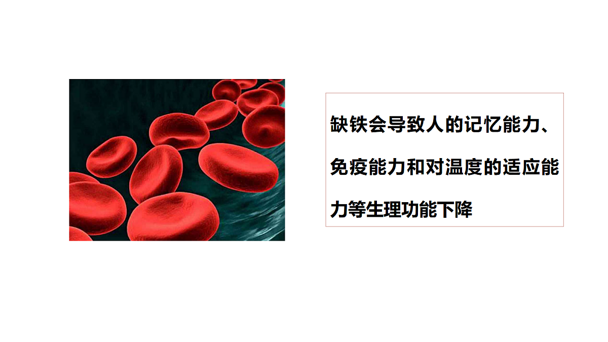 17255681第3页
