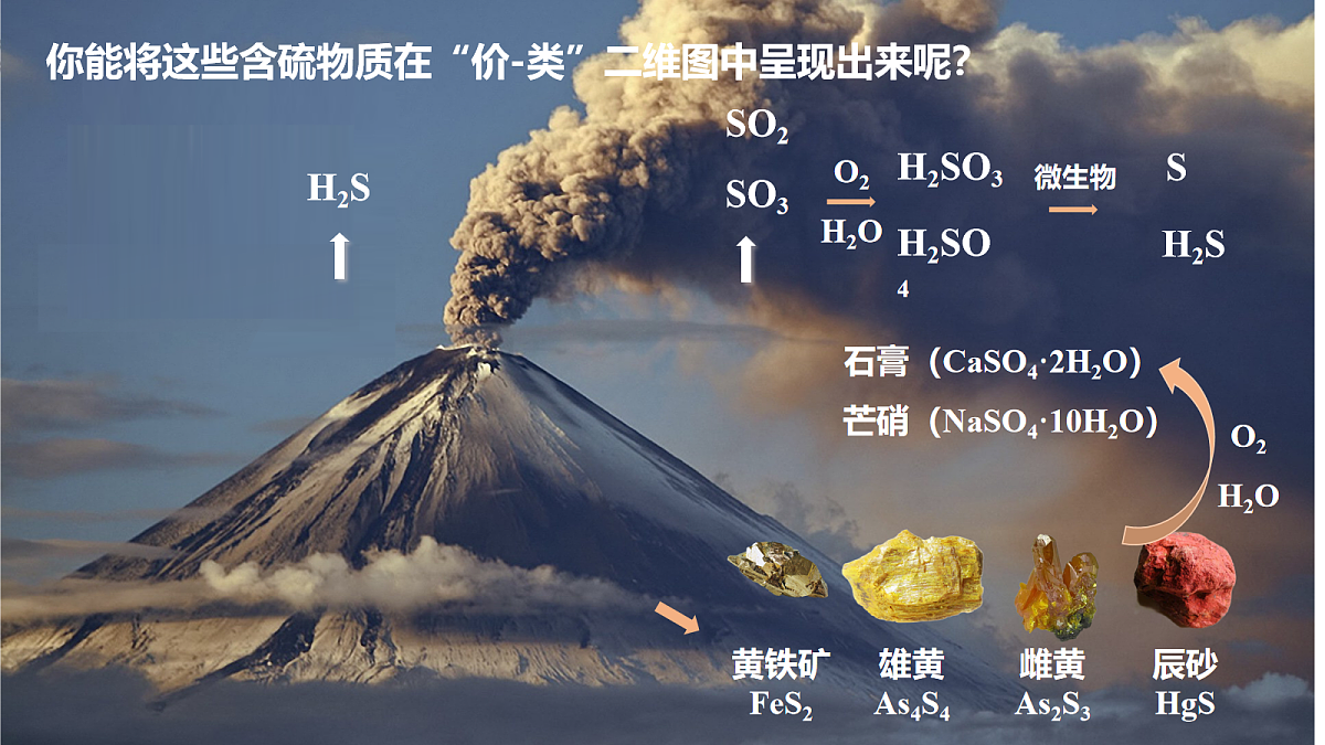 17255682第4页