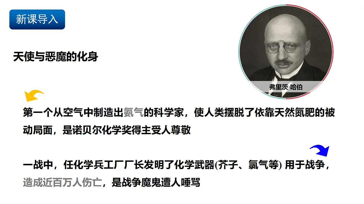 17255685第2页