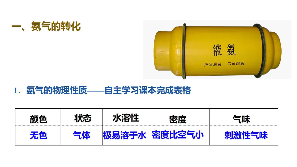 17255685第3页