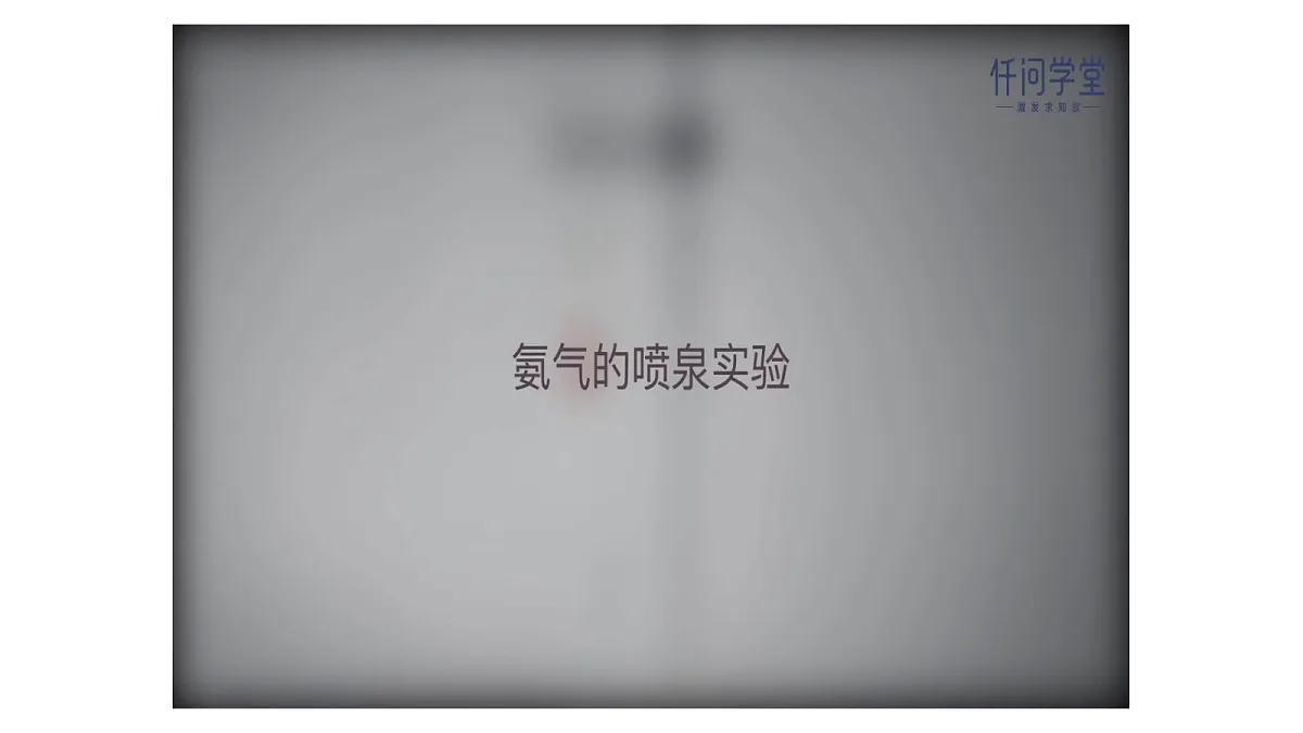 17255685第7页