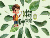 【AI賦能設(shè)計(jì)】新人教版小學(xué)美術(shù)二年級(jí)上冊(cè) 1樹葉的血管 課件