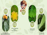 【AI賦能設(shè)計(jì)】新人教版小學(xué)美術(shù)二年級(jí)上冊(cè) 1樹葉的血管 課件