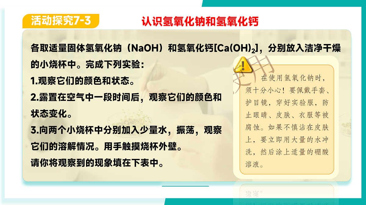 17256125第5页
