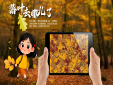 新人教版小學(xué)美術(shù)一年級(jí)上冊(cè) 6落葉去哪兒了 課件