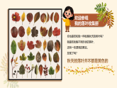 新人教版小學(xué)美術(shù)一年級(jí)上冊(cè) 6落葉去哪兒了 課件