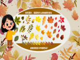新人教版小學(xué)美術(shù)一年級(jí)上冊(cè) 6落葉去哪兒了 課件