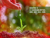 新人教版小學(xué)美術(shù)一年級(jí)上冊(cè) 8寸草心 課件