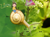 新人教版小學(xué)美術(shù)一年級上冊 10蝸牛的堅持 課件