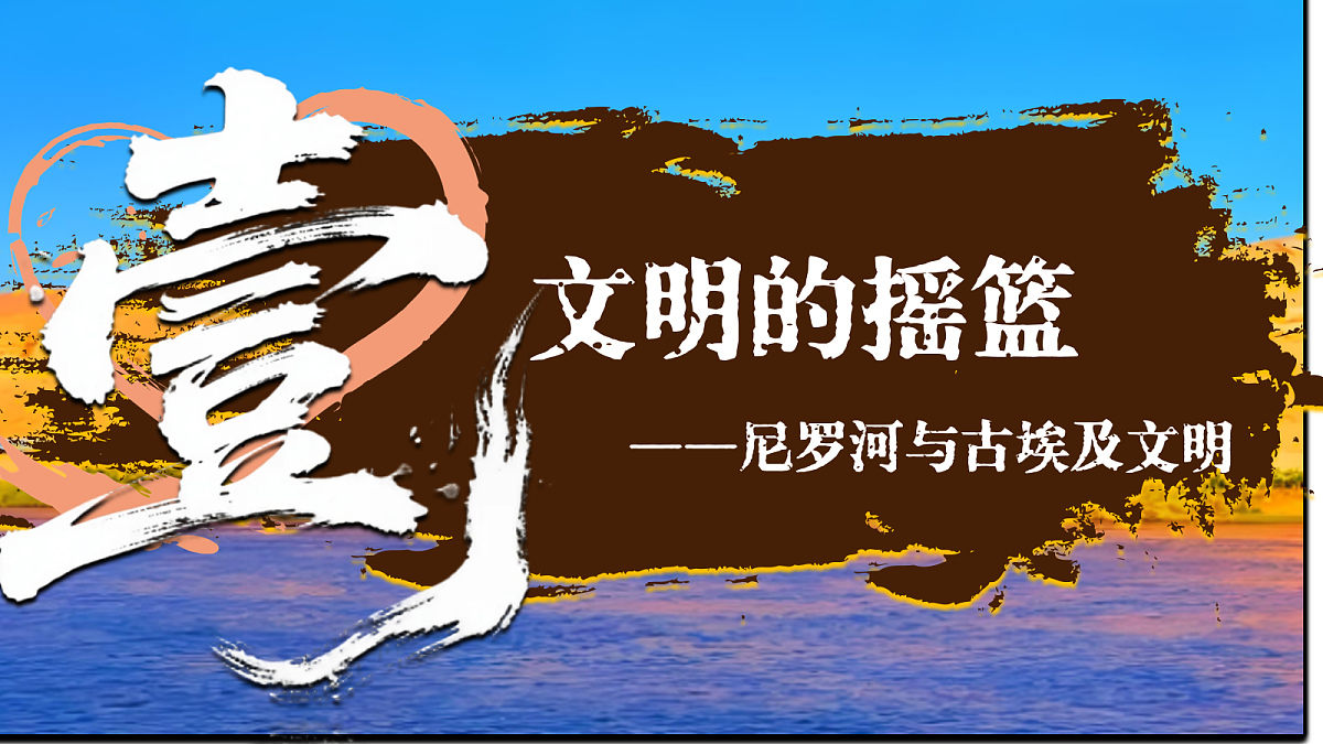 17256262第3页