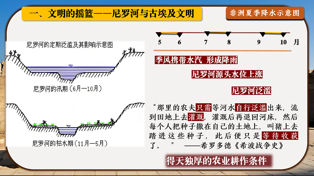 17256262第6页