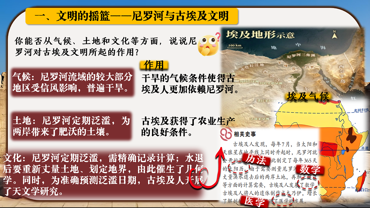 17256262第7页