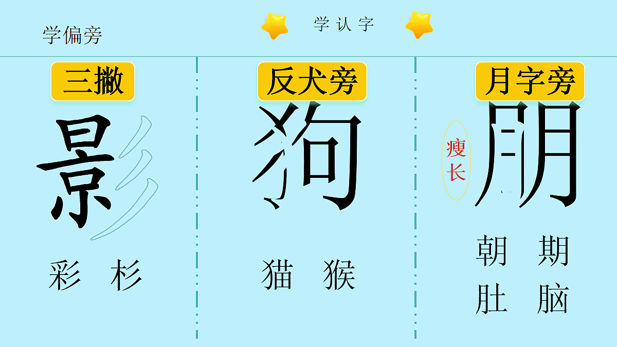 17256533第7页