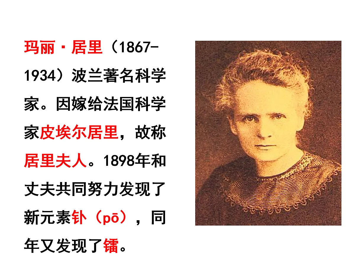 17256733第3页
