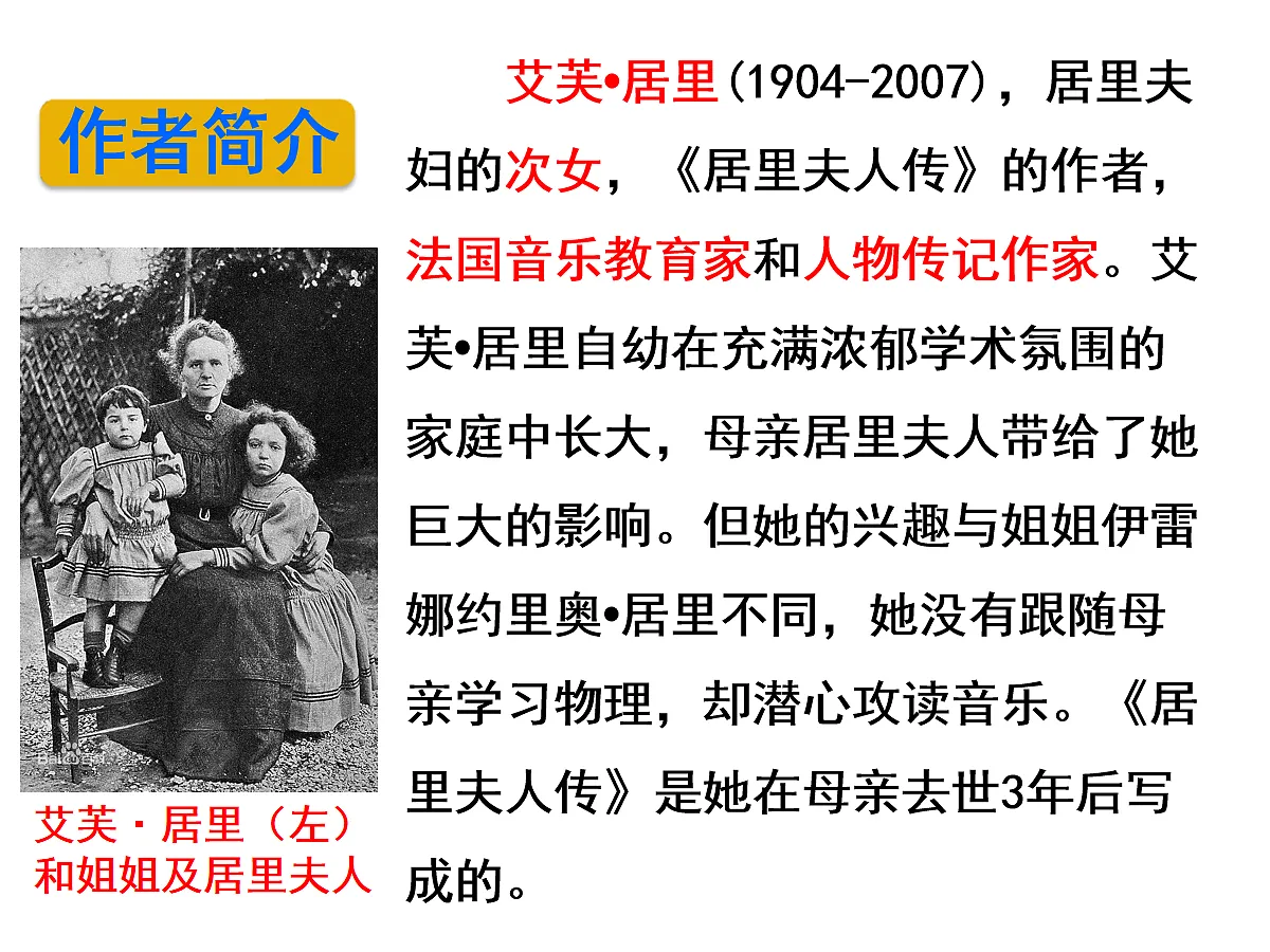 17256733第4页