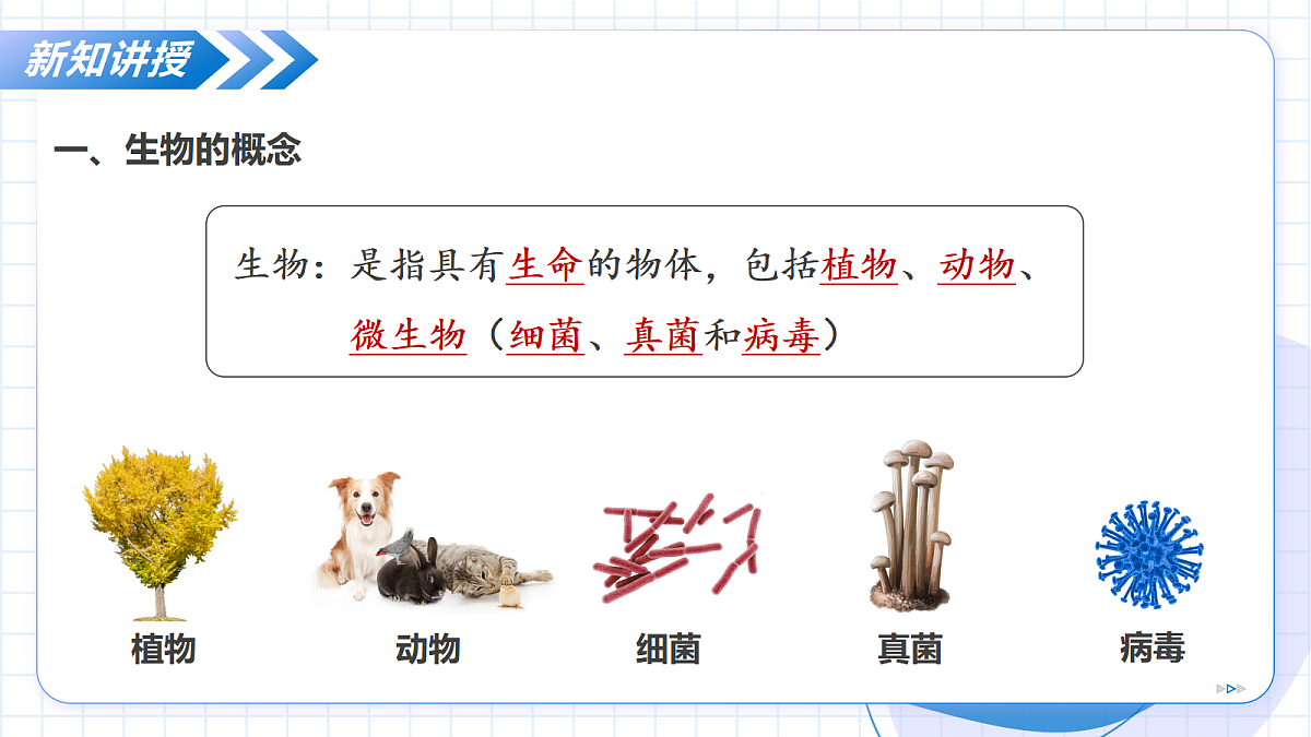 17256745第8页
