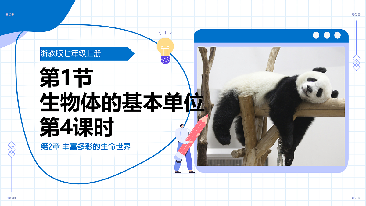 17256748第1页